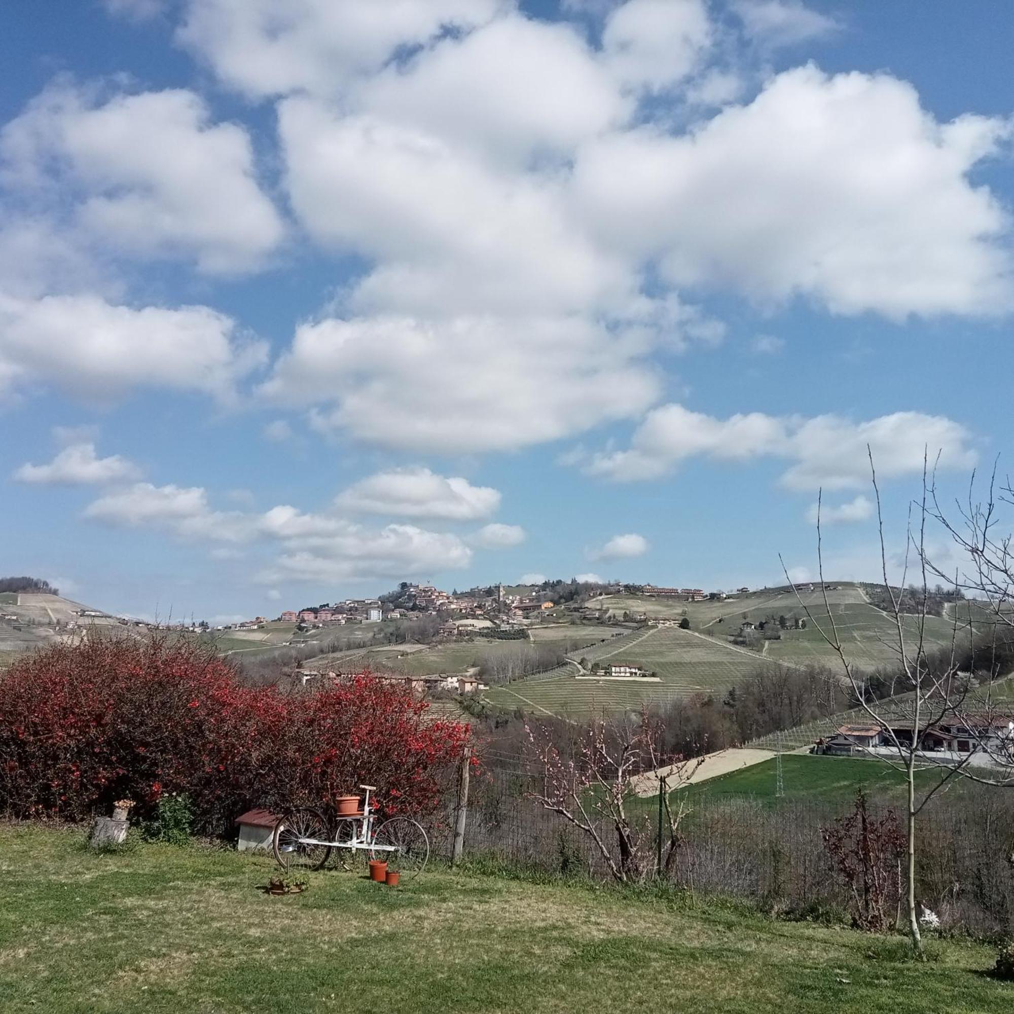 Agriturismo Bric Di Gai Монфорте-д'Альба Номер фото