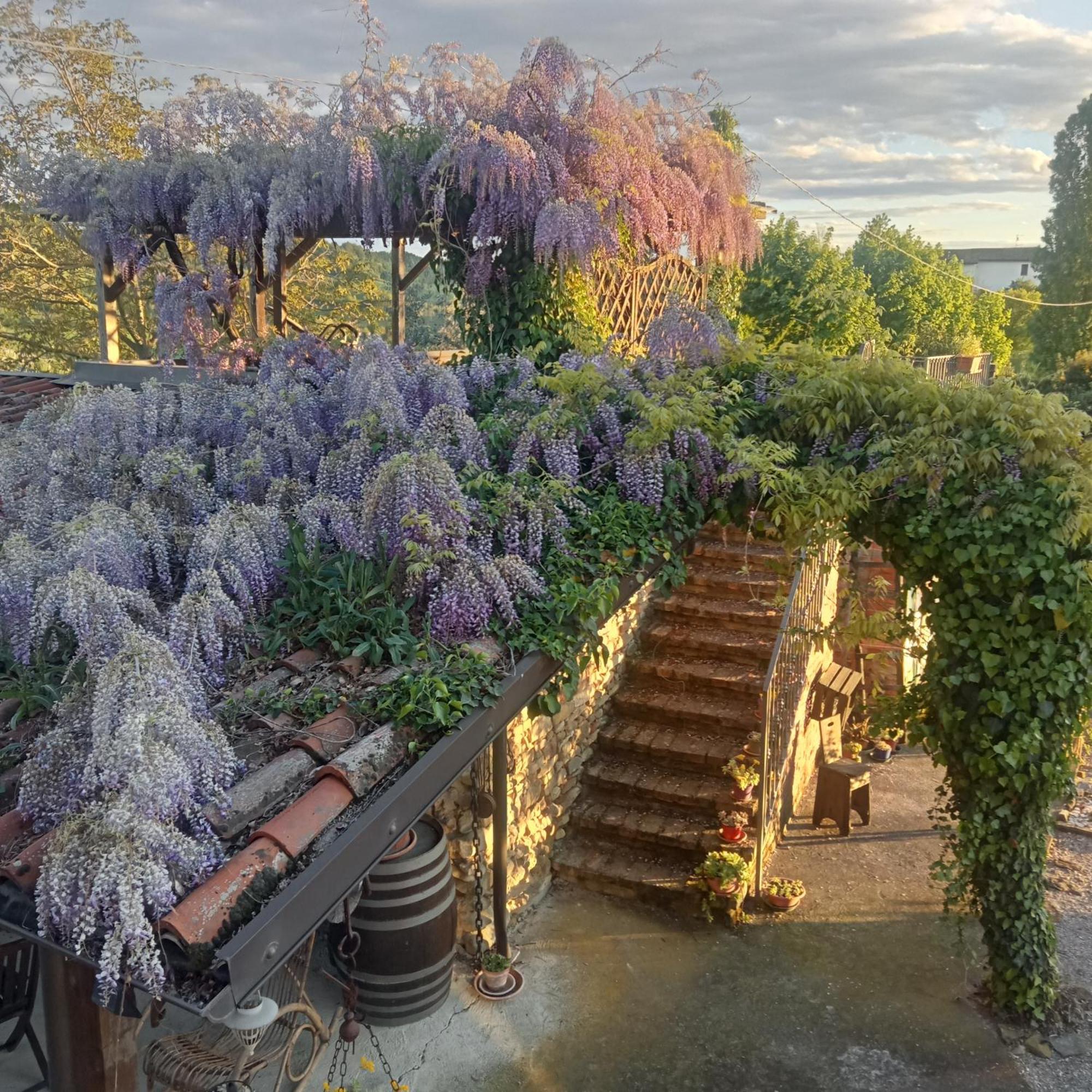 Agriturismo Bric Di Gai Монфорте-д'Альба Экстерьер фото